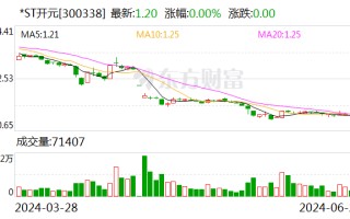 *ST开元：公司被债权人申请重整及预重整