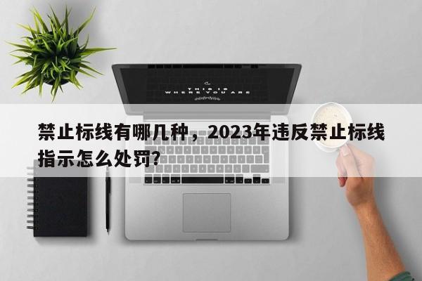 禁止标线有哪几种，2023年违反禁止标线指示怎么处罚？-第1张图片-云深生活网