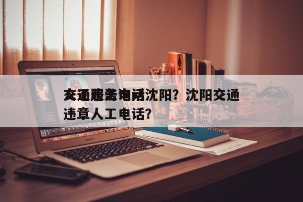 交通违法询问
人工服务电话沈阳？沈阳交通违章人工电话？-第1张图片-云深生活网