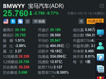 宝马汽车大跌近10% 下调2024年利润率-第1张图片-云深生活网